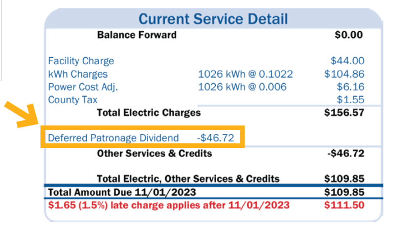 Example of patronage dividend credit on electric bill