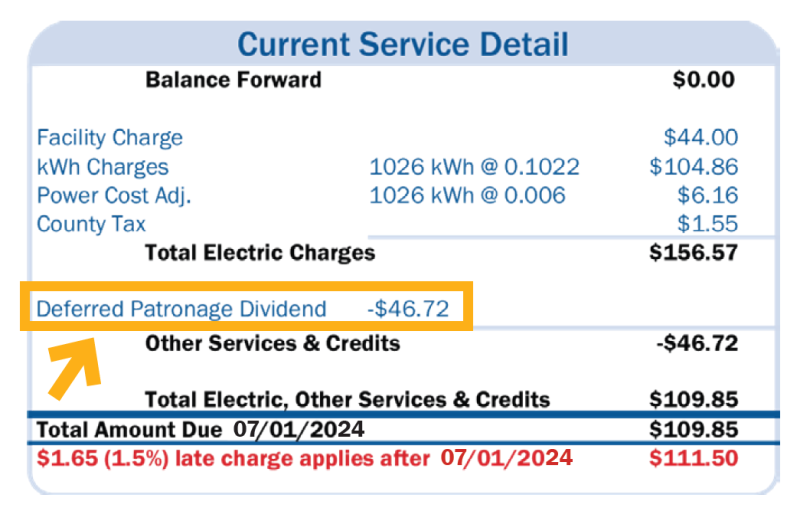 Sample of an electric bill with a patronage dividend credit