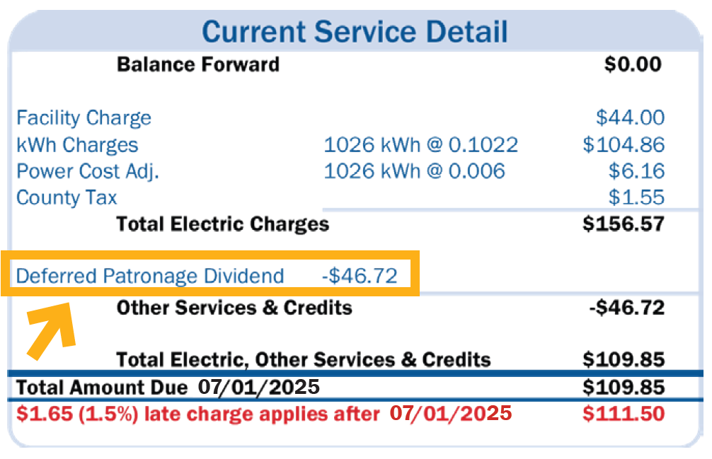 Sample of an electric bill with a patronage dividend credit